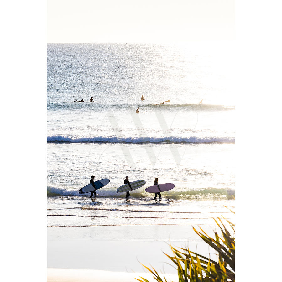 Coolum Beach Image 9522 by AWP Image Library captures three people with surfboards on Coolum Beach, while surfers ride gentle waves in the background. The sun reflects off the ocean, adding a bright and serene touch to the scene.