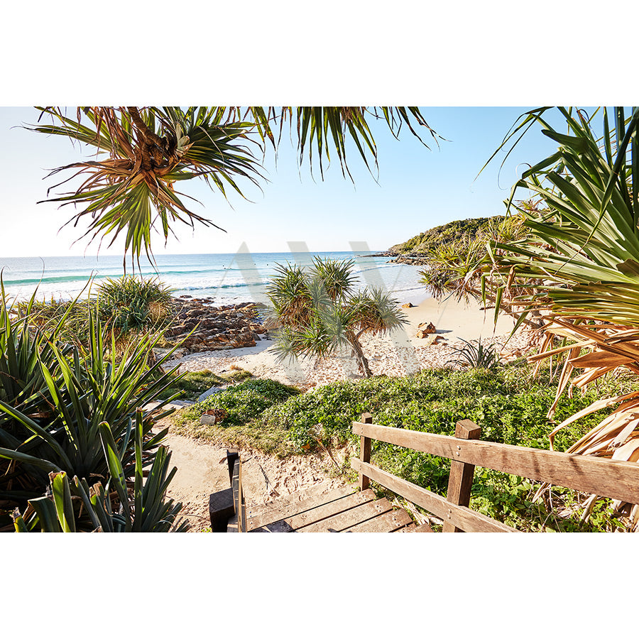 Coolum Beach Image 9698 by AWP Image Library captures a beach scene of clear blue water, sandy shores, and lush green tropical plants framing the foreground. A wooden pathway leads to the beach under a clear sunny sky.
