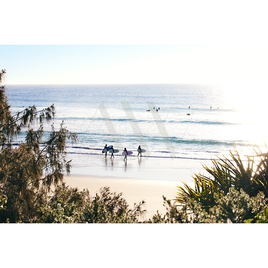 Surfers with boards head to the ocean on a sunny Coolum Beach, where gentle waves kiss the shore and a few swimmers dot the water. Lush greenery enhances the foreground beneath a clear sky. Brought to you by AWP Image Library, this is Image 9516.