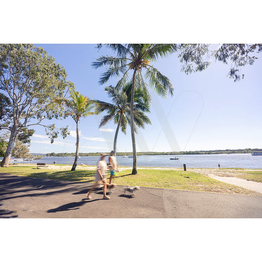 Two people walk a small dog along pathways beside the Noosa River under a blue sky, with palm trees, grass, boats, and benches on the scenic foreshore. Product: Gympie Tce Image 4081 by AWP Image Library.