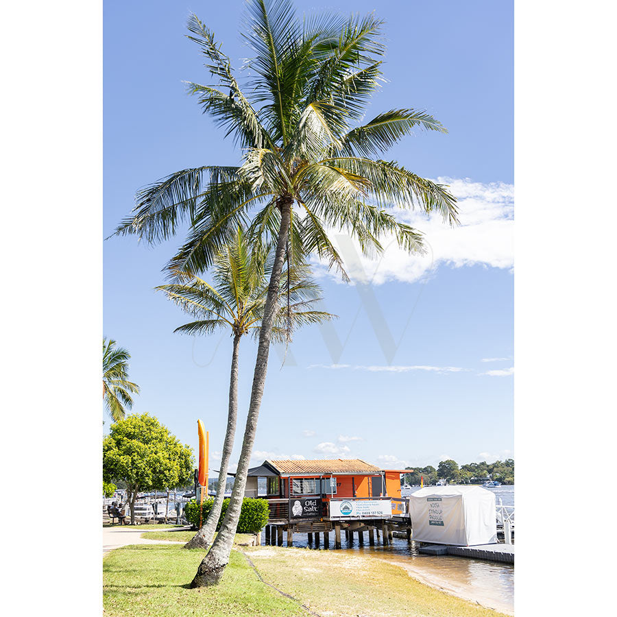 Gympie Tce Image 4332 from AWP Image Library captures two tall palms on grass by the Noosa foreshore, with a dock, covered boat, building with orange flags, and blue sky—classic Gympie Terrace scenery.