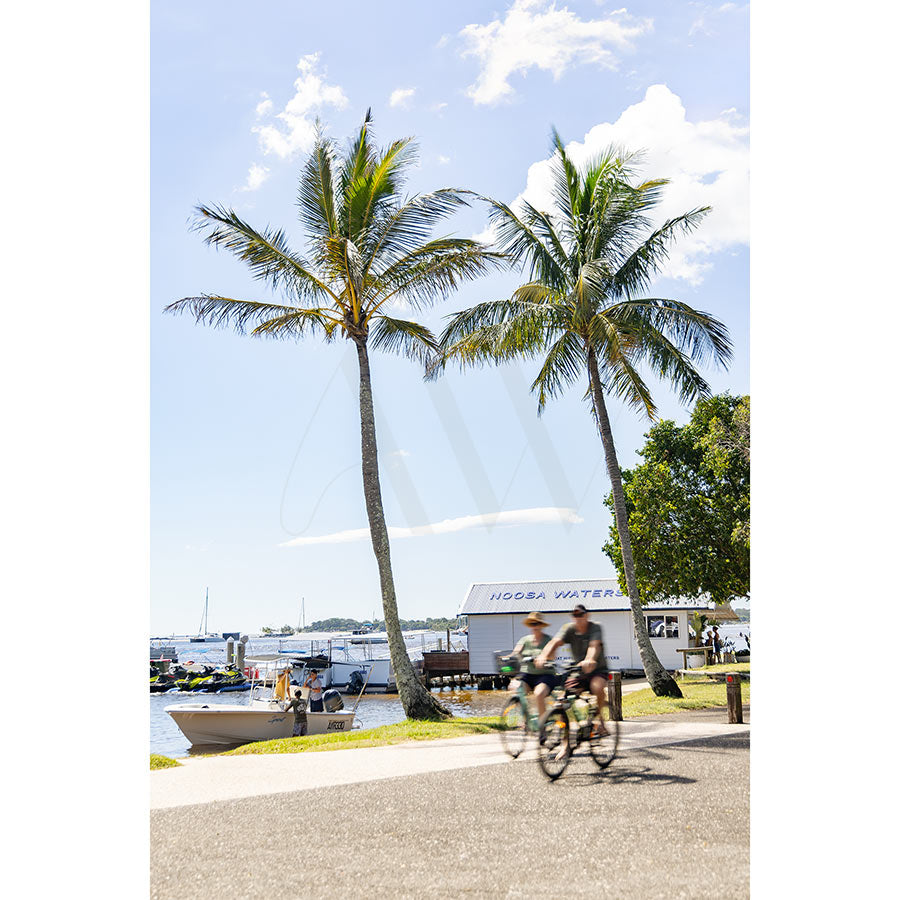 In Gympie Tce Image 4357 by AWP Image Library, two cyclists ride past palm trees along the Noosa waterfront, with boats docked nearby and the Noosa Waters sign visible—capturing a sunny day ideal for brunch or coffee.