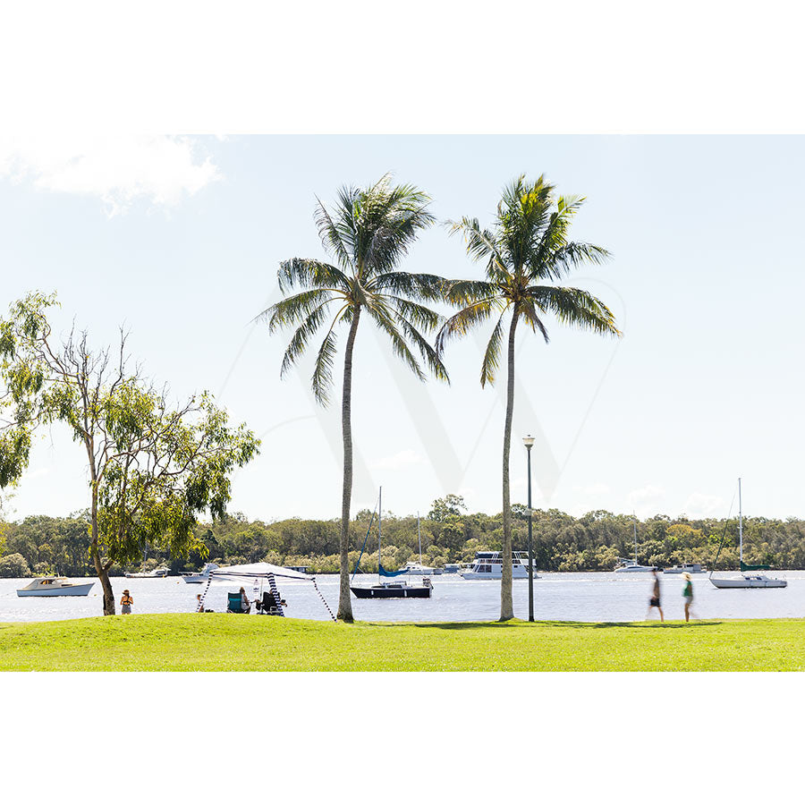 Gympie Tce Image 4815 by AWP Image Library captures two tall palms on Gympie Terraces grassy foreshore beside a calm Noosa river, with people relaxing, boats anchored on the water, and trees lining the far bank under a bright sky.