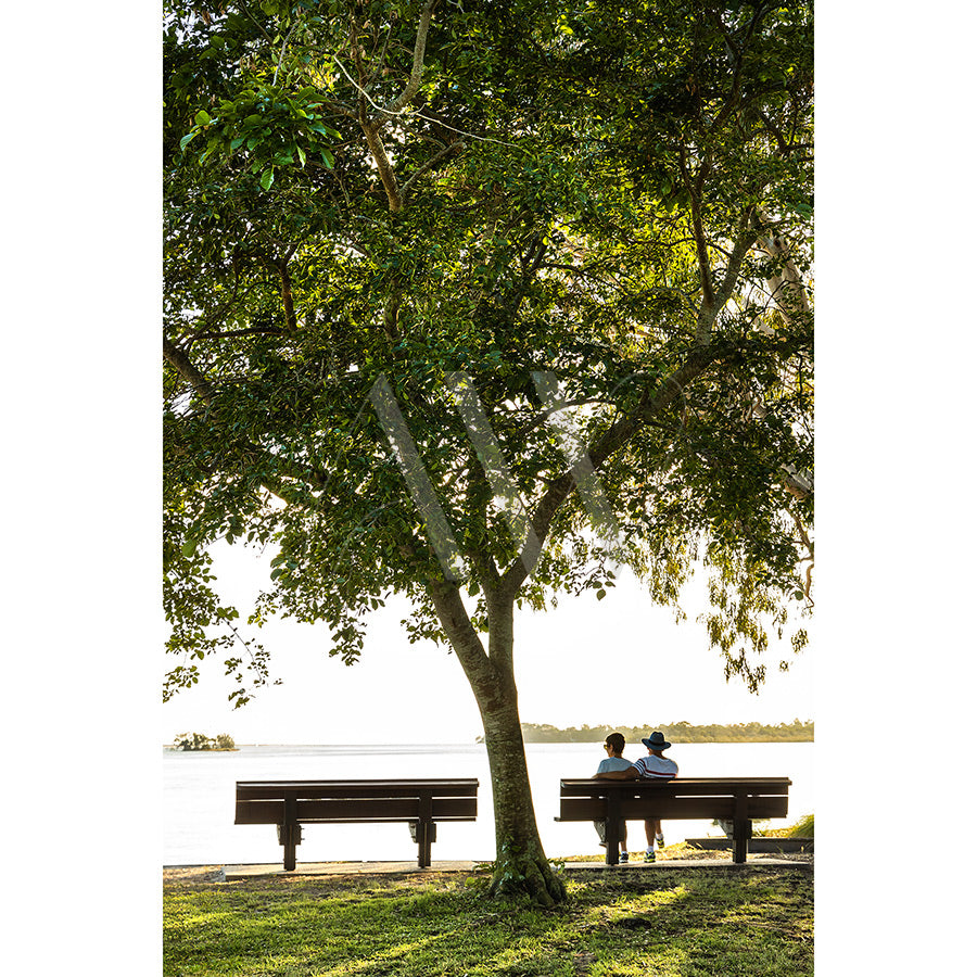 Two people sit on a bench under a large tree at Gympie Terrace, illuminated softly by sunlight, with pelicans gliding nearby. Captured in the tranquil Gympie Tce Image 8025 by AWP Image Library.