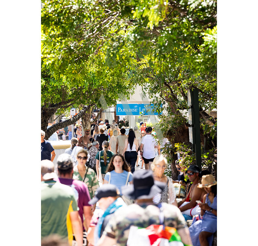 In Hastings Street Image 4947 by AWP Image Library, a lively street scene unfolds with people strolling and relaxing beneath lush trees. A Paradise sign enhances the relaxed, vibrant atmosphere as a diverse crowd enjoys the sunny day.
