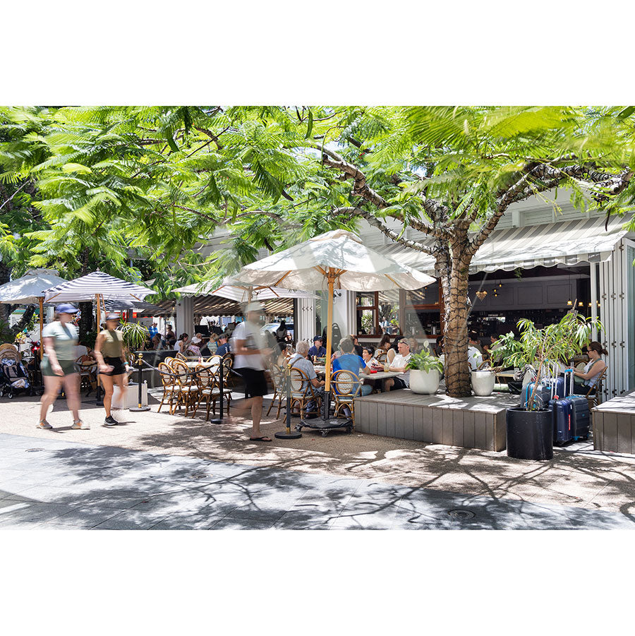 The Hastings Street Image 5729 from the AWP Image Library captures a vibrant and relaxed Noosa scene with people enjoying sunny outdoor tables under umbrellas, shaded by lush trees, as pedestrians stroll by nearby shops.