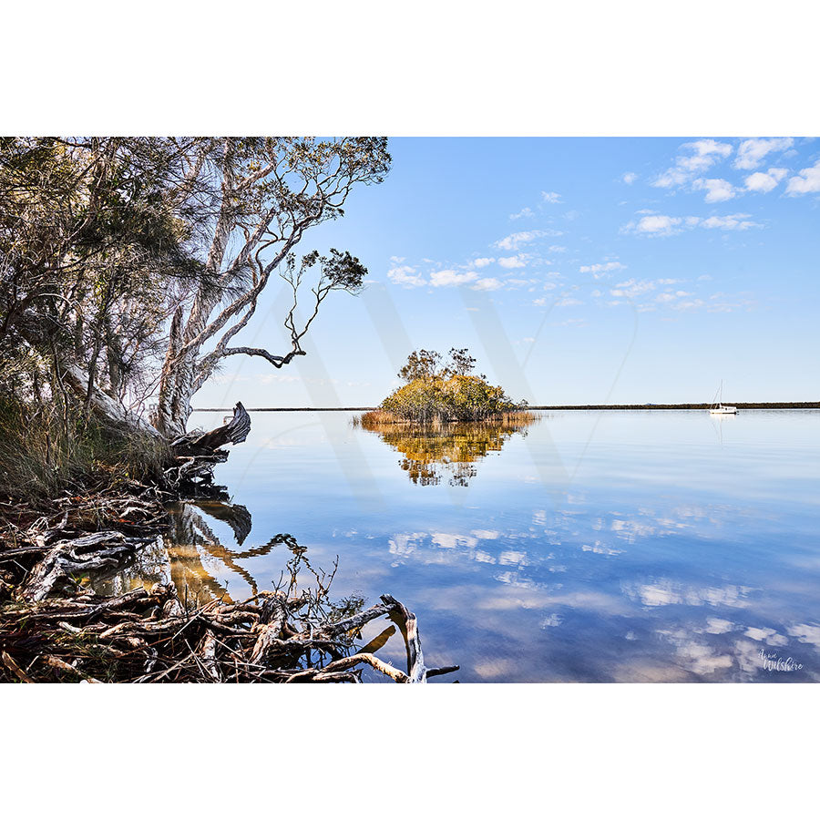 Lake Cootharaba 3213 by AWP Image Library captures a tranquil scene in Noosa Hinterland: tree reflections on calm waters, bushes on an island, and a distant sailboat under a blue sky with scattered clouds. Trees frame the left side, exuding rural serenity.