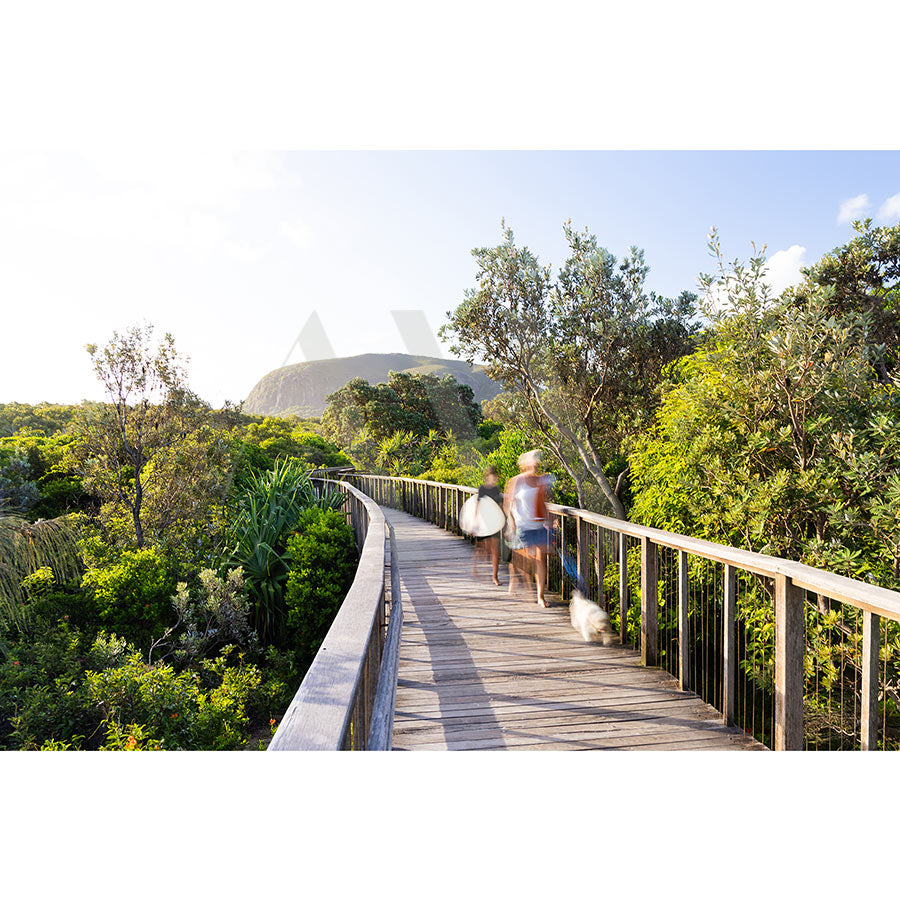 A person and child walk with a dog on a wooden boardwalk surrounded by lush greenery, with distant mountains under a clear blue sky in Mount Coolum Image 5770 from AWP Image Library.