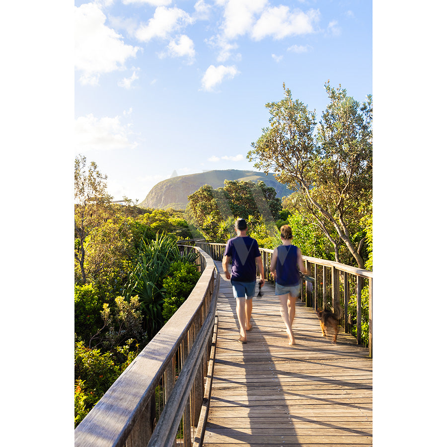 Two individuals walk barefoot on a wooden boardwalk amid lush greenery, with their dog towards Mount Coolum under a blue sky. Enjoy the iconic beauty captured by Mount Coolum Image 5794 from the AWP Image Library.