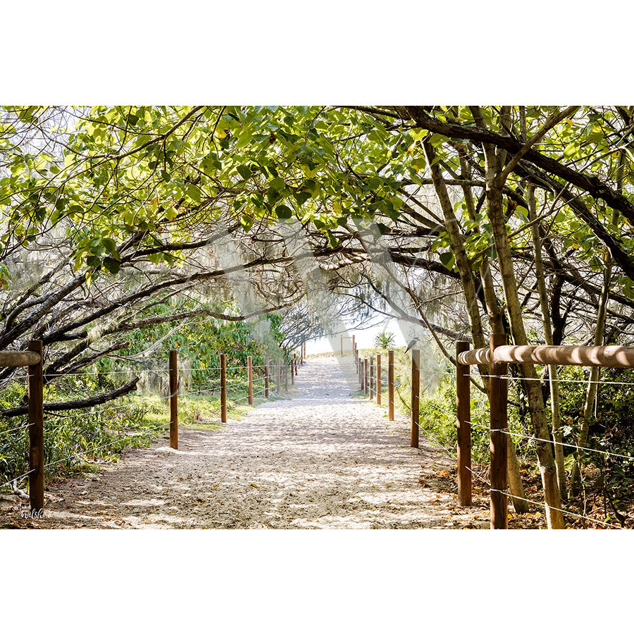 Mudjimba Beach Image 0577 from AWP Image Library captures a sandy path through an arched tunnel of leafy trees. Sunlight dapples the ground as wooden fences line both sides, creating a serene and inviting passageway.