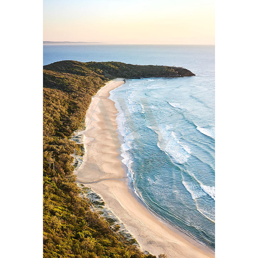 The Noosa Drone Image 0547 by AWP Image Library shows a pristine beach with golden sand next to turquoise waves, surrounded by dense greenery from Noosa National Park. The sun casts a warm glow over this serene aerial view.