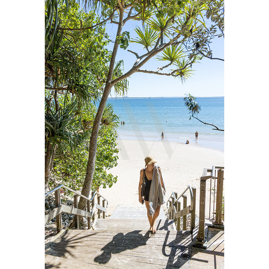 Noosa Image 4957 by AWP Image Library features a person in a sunhat and cover-up ascending wooden stairs from Noosa Main Beach, with lush trees and swimmers in the blue ocean—an ideal beginning for a scenic coastal walk.