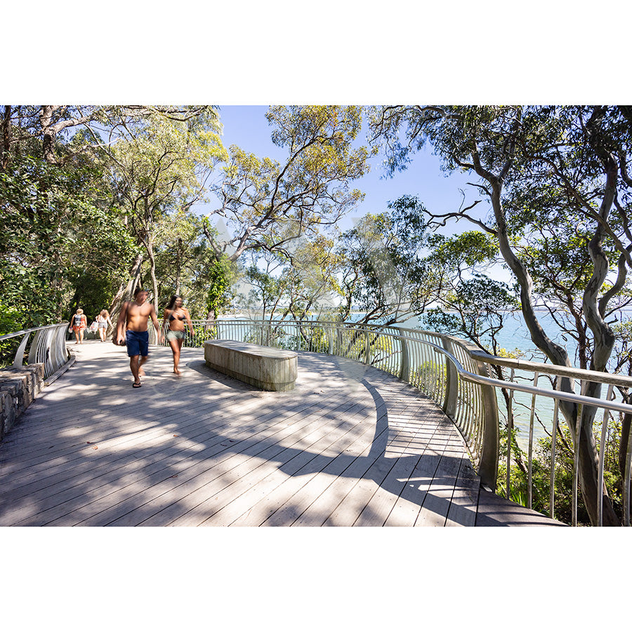 Noosa Image 5169 by AWP Image Library shows a curved wooden boardwalk in Noosa National Park, bordered by trees and people in swimwear, overlooking the ocean and Little Cove on a sunny day, with a metal railing and stone bench along the path.