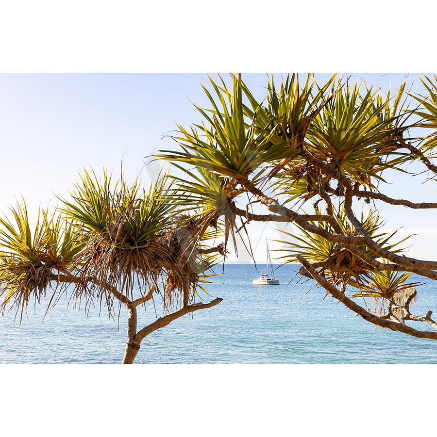 AWP Image Librarys Noosa Image 9184 captures spiky-leaved Pandanus trees framing still waters in Noosa National Park, a small boat anchored under a clear blue sky.