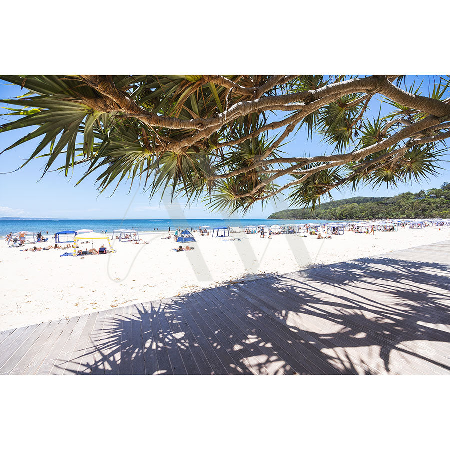 Holidaymakers relax under umbrellas on the white sands of Noosa Main Beach, with the ocean in view. A boardwalk lines the beach, while tree branches cast shadows overhead against a clear blue sky. Image: Noosa Main Beach Image 4748 by AWP Image Library.