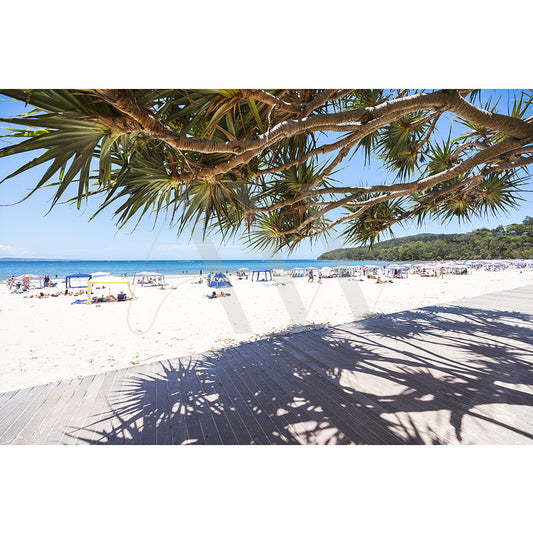 Holidaymakers relax under umbrellas on the white sands of Noosa Main Beach, with the ocean in view. A boardwalk lines the beach, while tree branches cast shadows overhead against a clear blue sky. Image: Noosa Main Beach Image 4748 by AWP Image Library.