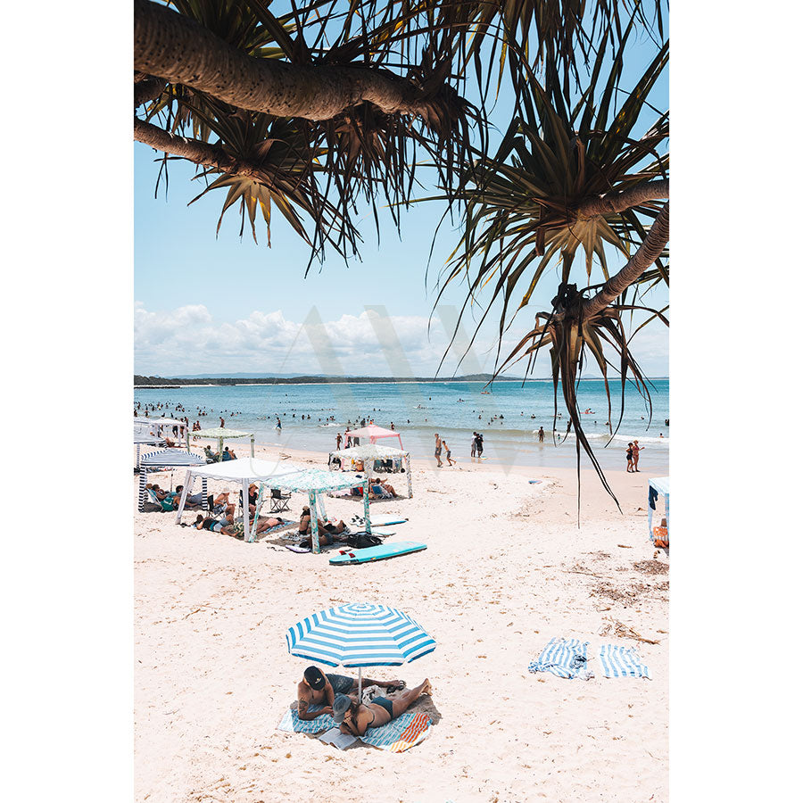 Beachgoers relax under umbrellas on Noosas Main Beach in the Noosa Main Beach Image 4840 by AWP Image Library, showcasing white sand, blue sea, swimmers playing near the shore, and overhanging tree branches framing this serene setting.