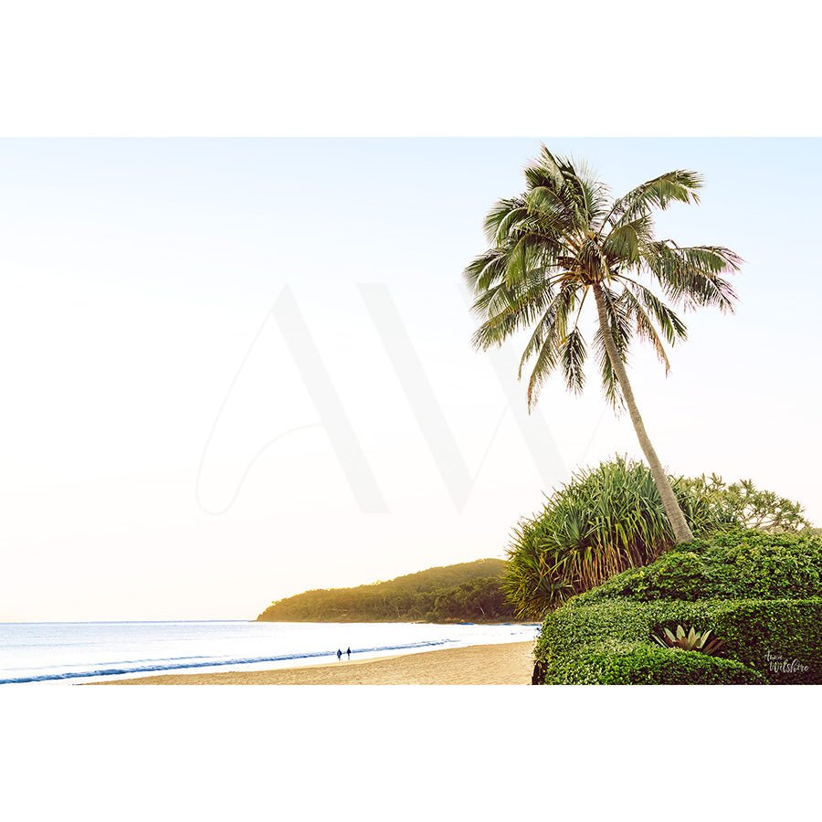 The Noosa Main Beach Image 7570 by AWP Image Library captures a serene beach scene with a tall palm tree, calm waves, people strolling along the shore, and green hills on the horizon beneath a clear sky.