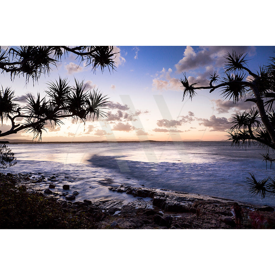 A serene ocean sunset captured in Noosa National Park Image 4092 by AWP Image Library features wavy shorelines and silhouetted tree branches against a partly cloudy sky, blending orange and purple hues on the horizon.