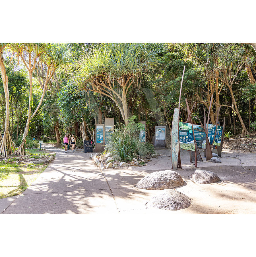 Noosa National Park Image 5742 by AWP Image Library captures a sunlit pathway lined with lush trees and metallic sculptures, with info boards offering guidance as two people walk towards the shaded forest.