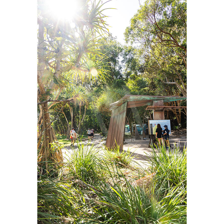 Noosa National Park Image 5853 by AWP Image Library captures sunlight streaming through tall trees at the park entrance, featuring a wooden archway and people gathered near an info board amid lush greenery.