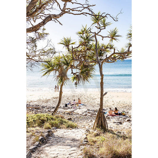 The Noosa Tea Tree Beach Image 9229 from AWP Image Library captures a sandy path to the shore with two small trees, people relaxing on the beach, and a calm ocean under a clear blue sky.