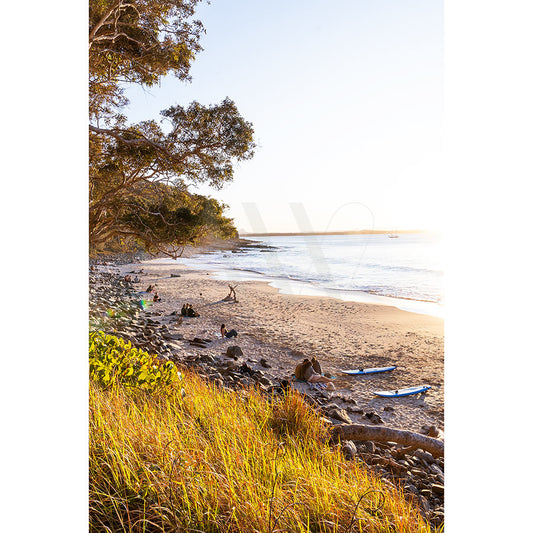 Product Name: Noosa Tea Tree Beach Image 9609 by Brand Name: AWP Image Library depicts a beach sunset with people relaxing on the sandy shore near rocks, two kayaks, a tree on the left, and golden light reflecting on the water while grasses sway in the foreground.