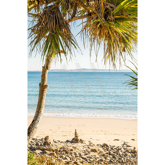 The Noosa Tea Tree Image 421 by AWP Image Library captures a serene beach with clear skies, calm seas, and a sandy shore. A palm tree leans from the left beside a rock stack, while distant hills outline the horizon.