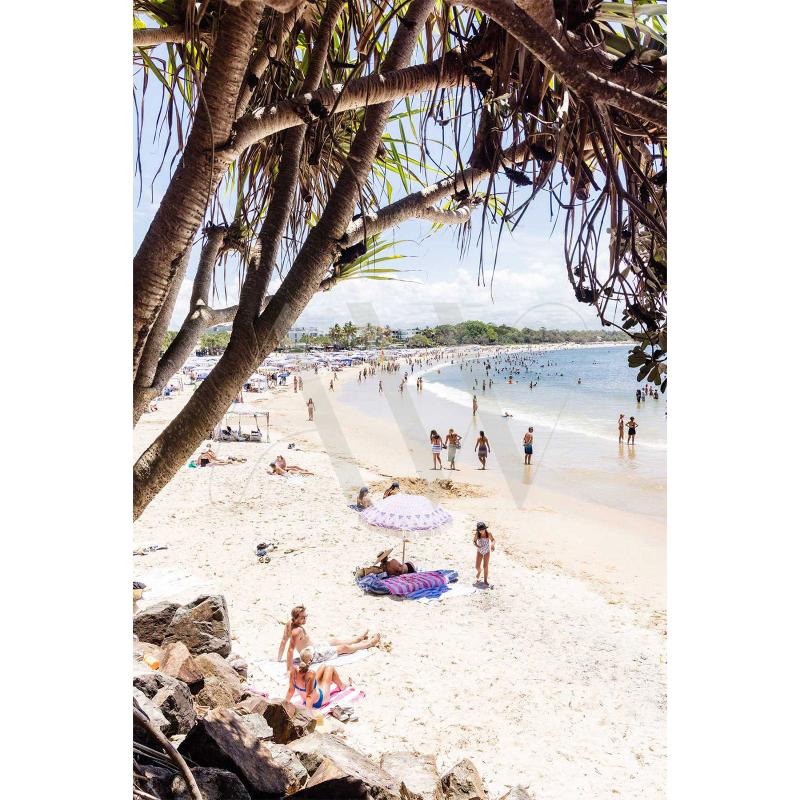 Noosa Main Beach Image 4862 by AWP Image Library captures holidaymakers lounging on the sand and swimming in a clear ocean, framed by a large tree with hanging leaves. The sunny, bustling summertime scene vividly stretches into the distance along Noosas Main Beach shoreline.