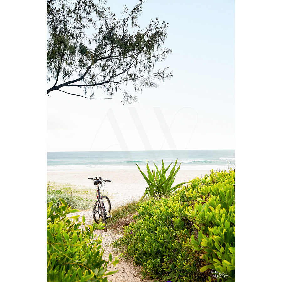 Ocean Shores Image 6079 from AWP Image Library captures a bicycle on a sandy path between lush bushes, leading to a calm beach and ocean under a clear sky, with a tree branch extending from the left.