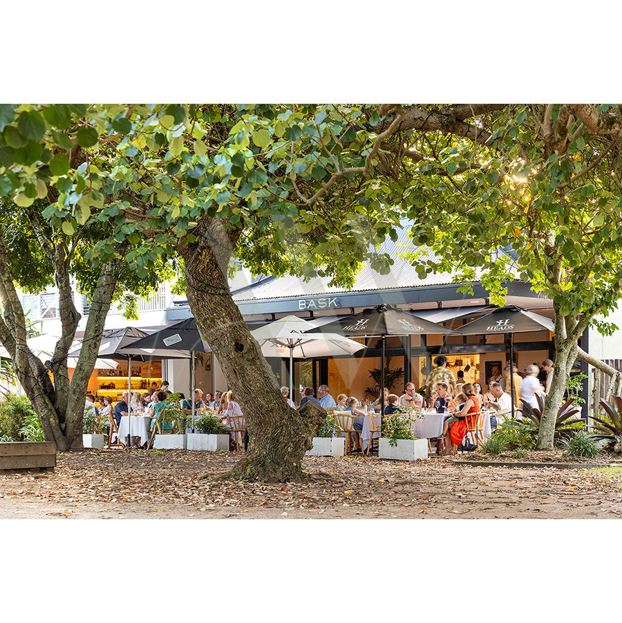 Customers delight in dining al fresco under large umbrellas at a vibrant Peregian Beach cafe, enveloped by lush greenery. The modern facade with prominent BASK signage and inviting vibe is captured in AWP Image Librarys Peregian Beach Image 2069.