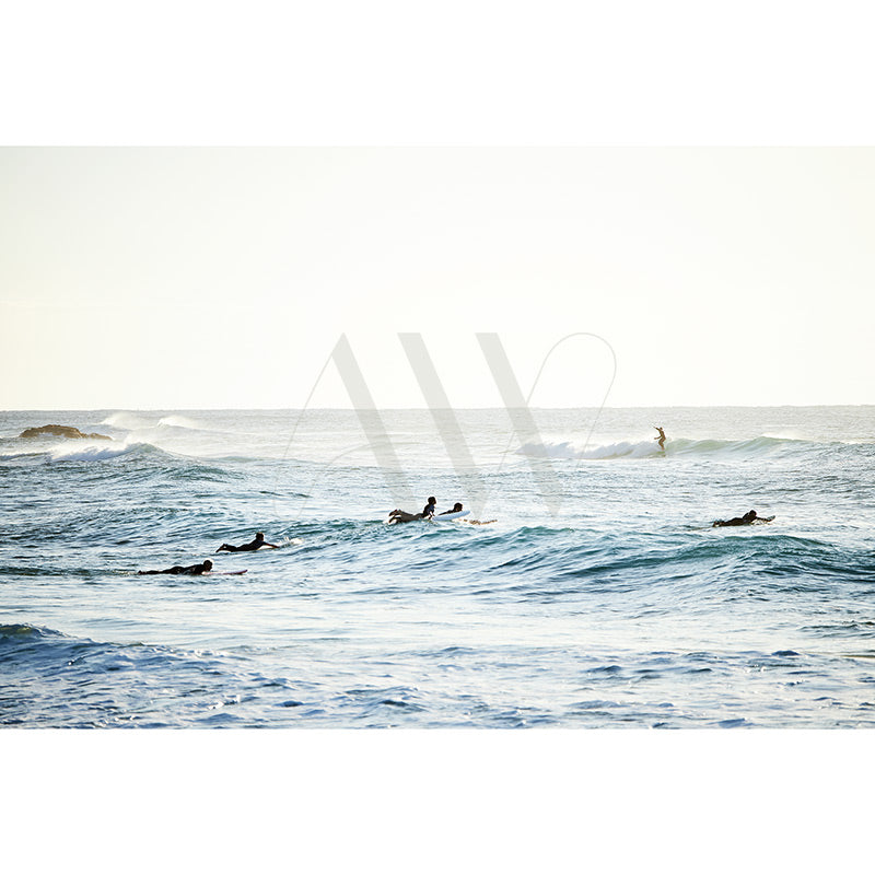 The Sunshine Beach Surfers image 8706 from the AWP Image Library captures surfers and paddlers enjoying the ocean under a bright, clear sky with gentle waves breaking in the background, creating a dynamic and lively scene.