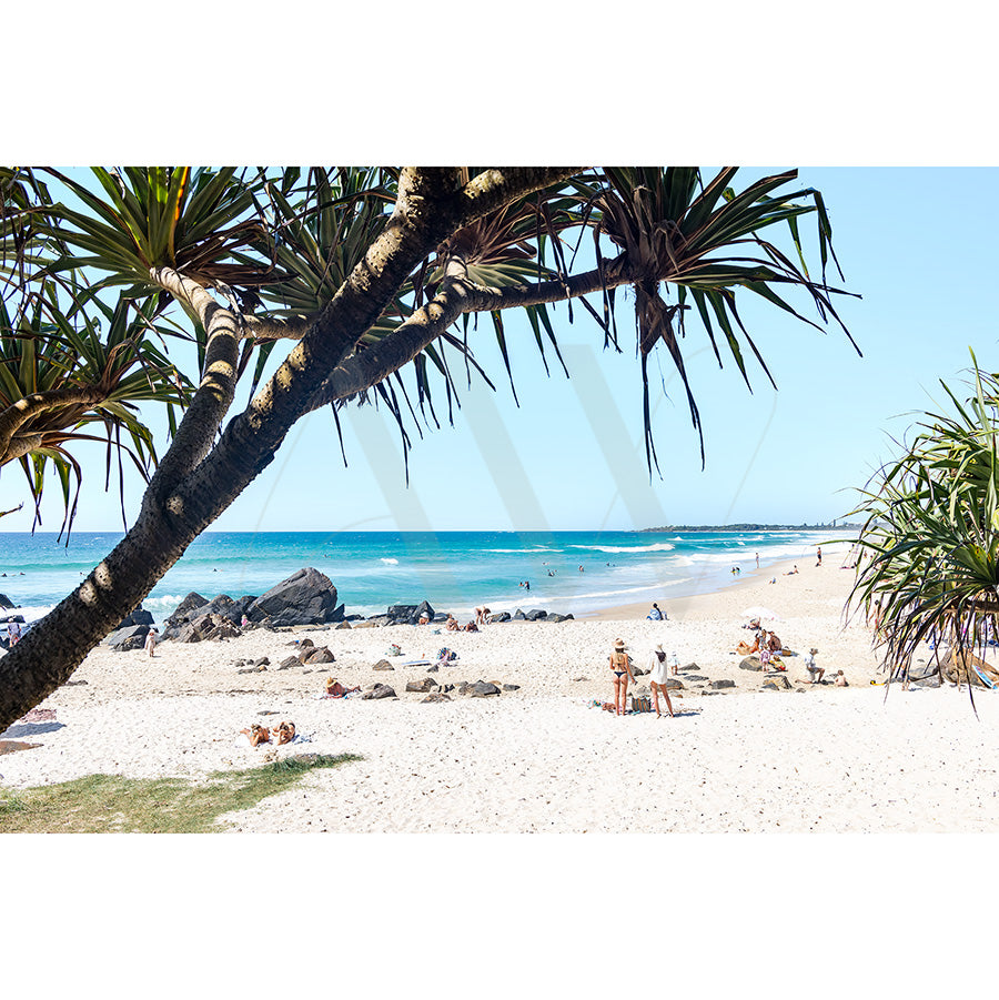 Cabarita Beach Image 6639 by AWP Image Library captures a sunny beach scene with clear blue skies. In the foreground, a tree with long leaves frames people scattered along the sandy shore near gentle waves, while distant rocks enhance the relaxing atmosphere.