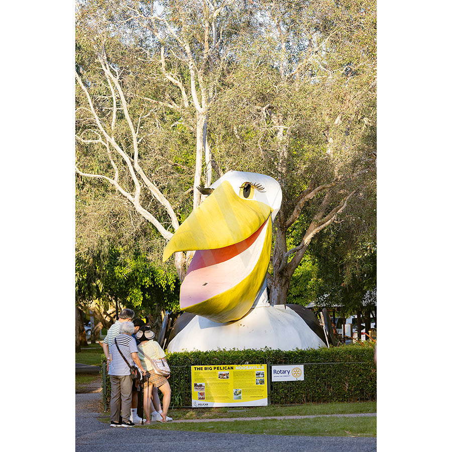 A group stands by the iconic Pelican Pete sculpture with its yellow beak and big eyes, surrounded by trees near Noosa River in Gympie Tce Image 3480 from AWP Image Library. Signs are visible at the sculptures base.