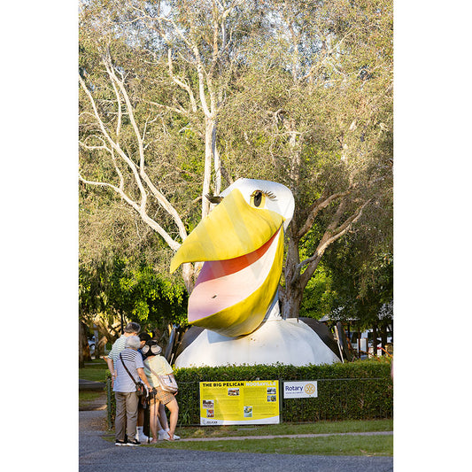 A group stands by the iconic Pelican Pete sculpture with its yellow beak and big eyes, surrounded by trees near Noosa River in Gympie Tce Image 3480 from AWP Image Library. Signs are visible at the sculptures base.
