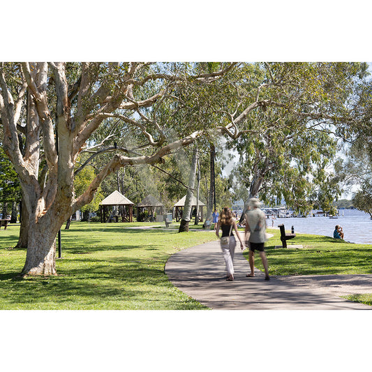 Gympie Tce Image 4752 by AWP Image Library captures a paved path winding through a leafy park with picnic shelters and walkers, while people relax along Noosa’s sparkling river foreshore under the sun.