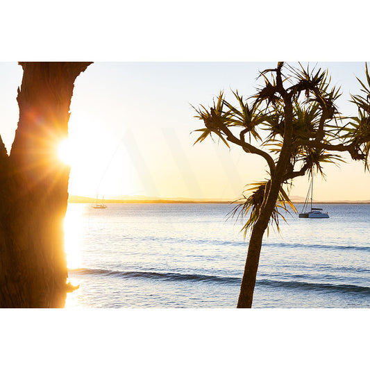 Noosa Image 9568 by AWP Image Library captures two pandanus trees framing a sunset over calm waters, with a moored boat and sailboat, evoking the golden tranquility of Noosa National Park.